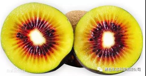 ɫB(ti)ѽJҡƷ|(zh)ِlǴAң